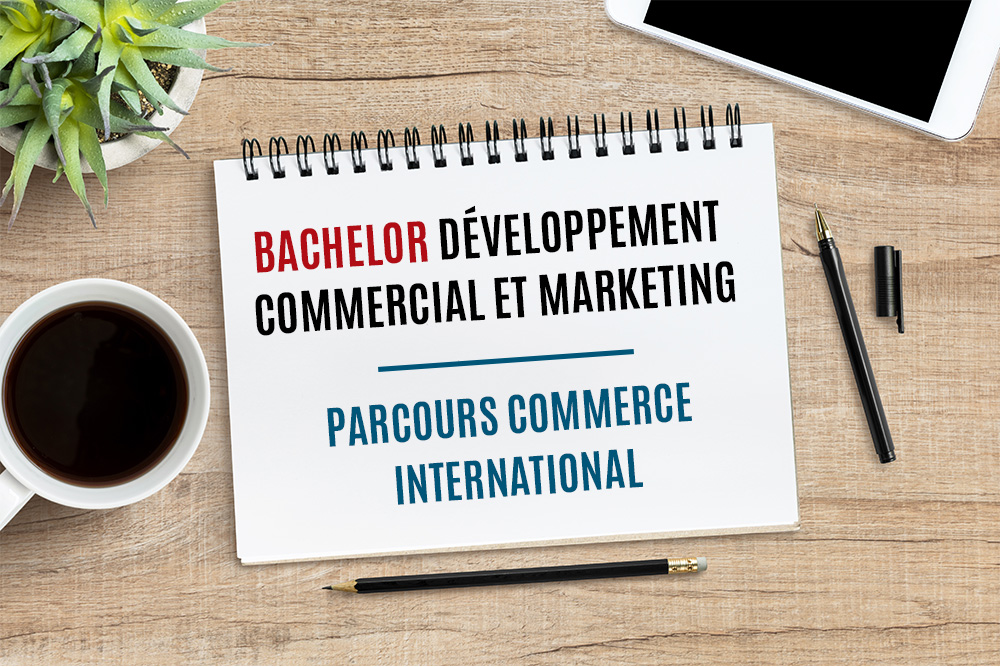 programme commerce international programme commerce international